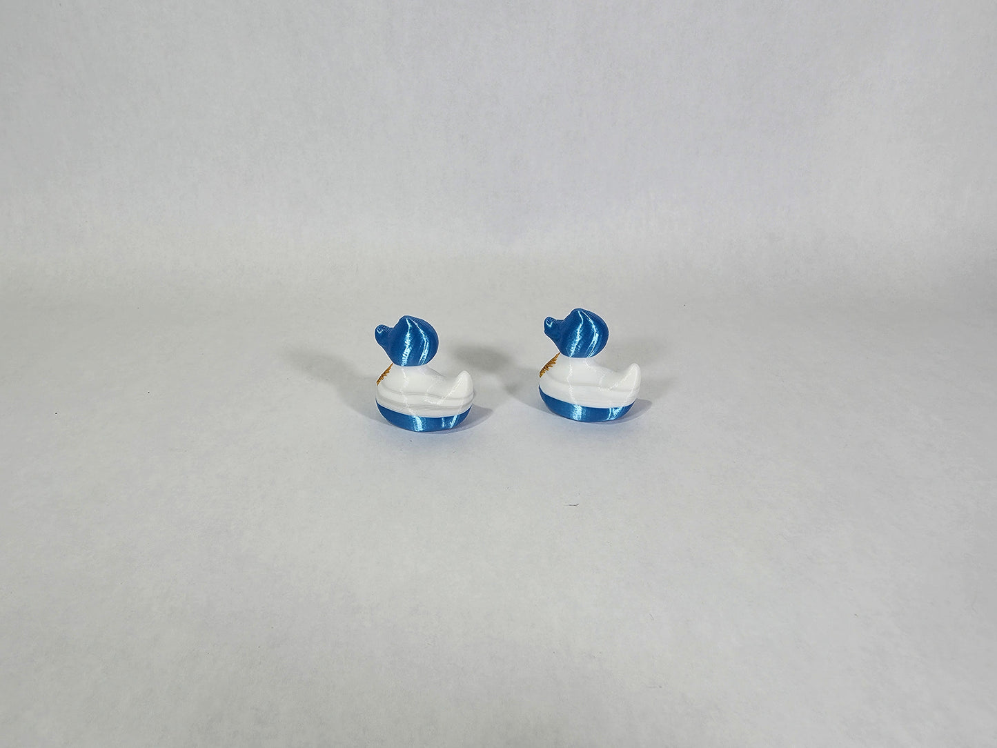 Argentina Flag Mini Duck | 3D Printed Plastic Lucky Ducks | Soccer World Cup Team
