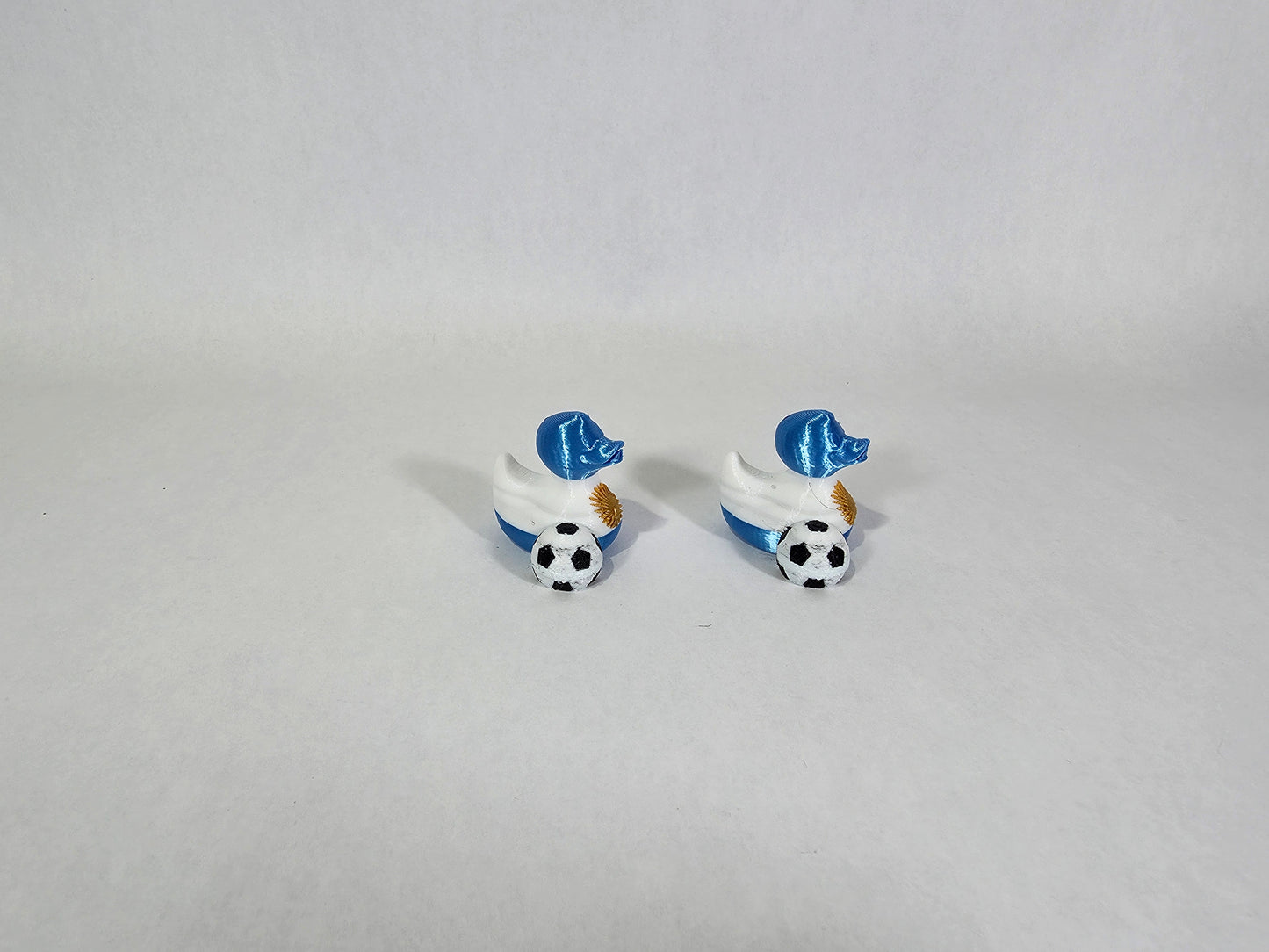 Argentina Flag Mini Duck | 3D Printed Plastic Lucky Ducks | Soccer World Cup Team