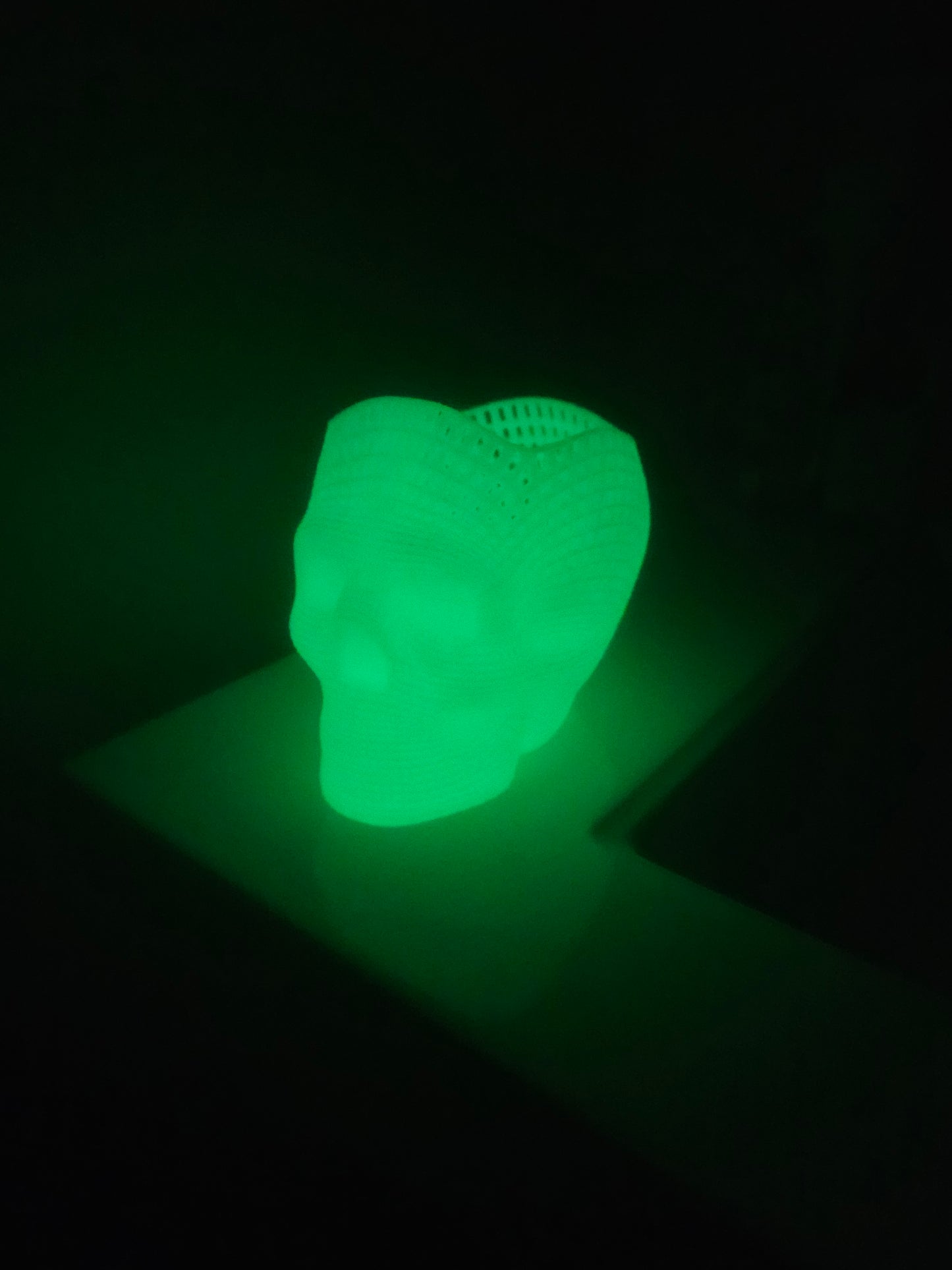 Glow in the Dark Skull Pencil Holder - Wire Frame - 3D Printed