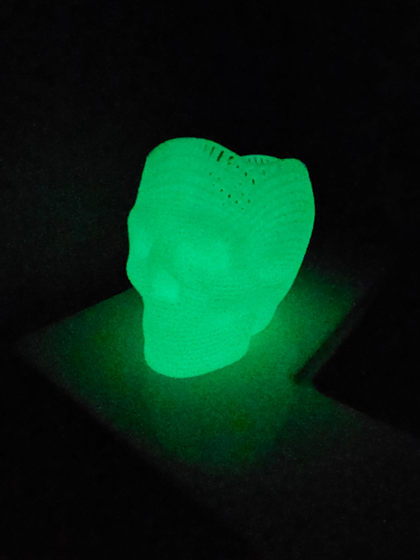 Glow in the Dark Skull Pencil Holder - Wire Frame - 3D Printed